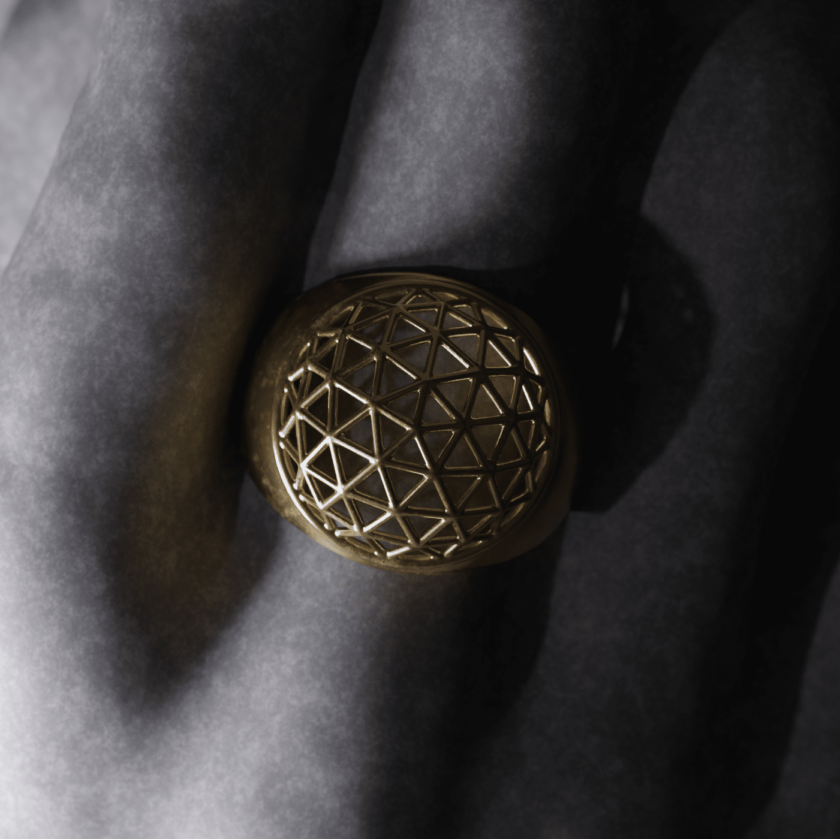 Ring_Geodesic - Image 4